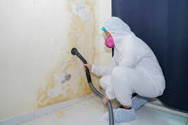 Best Mold Damage Restoration  in Highland On The Lake, NY